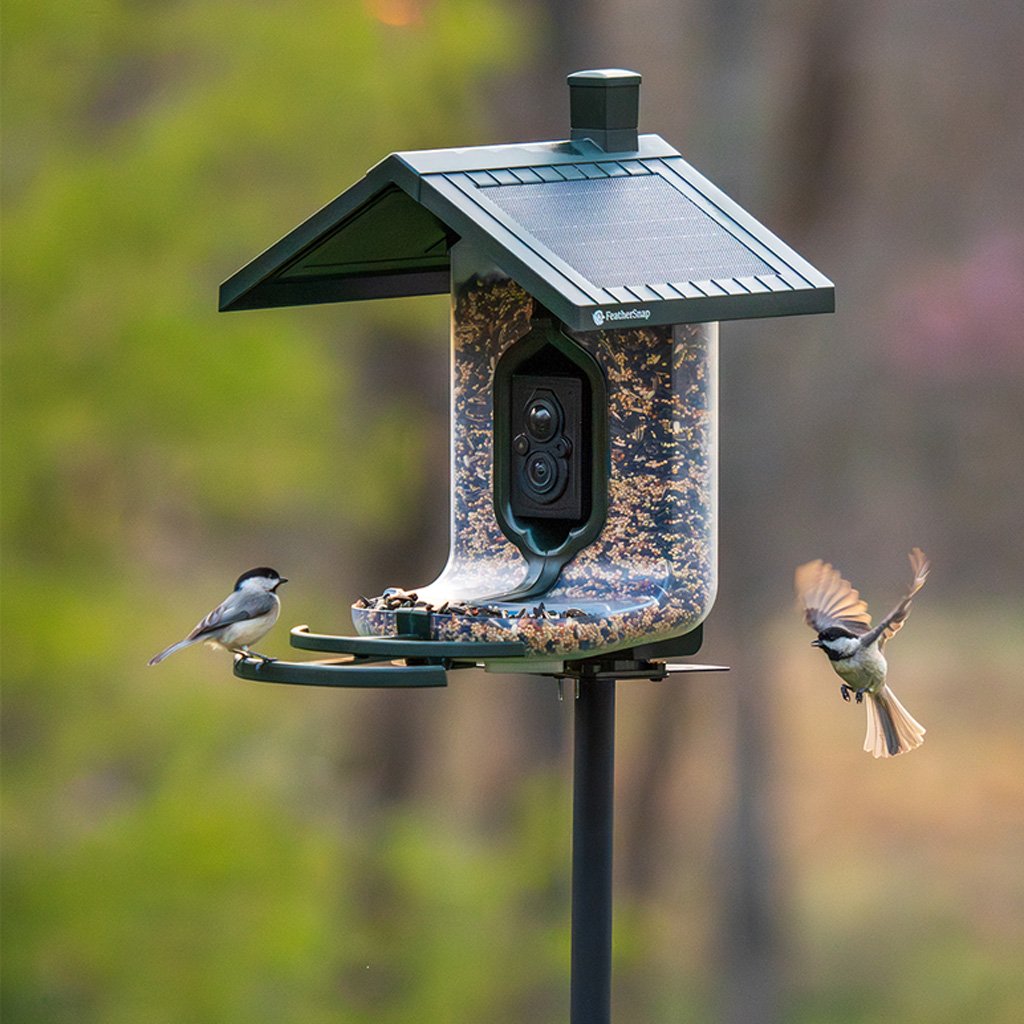 Tactacam FeatherSnap Scout Bird Feeder Version 1