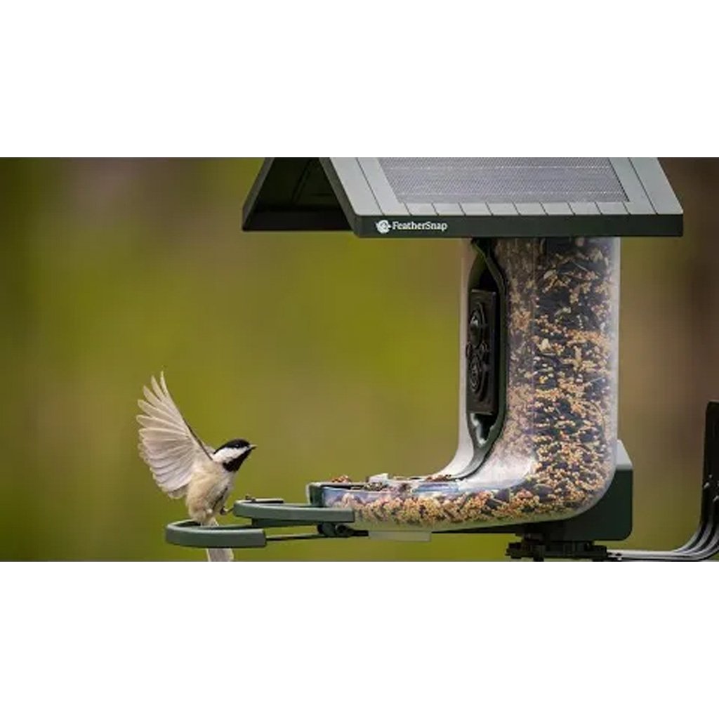 Tactacam FeatherSnap Scout Bird Feeder Version 1 - Image 3