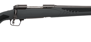SAVAGE ARMS 110 HUNTER 22-250 BL/SYN 22" #