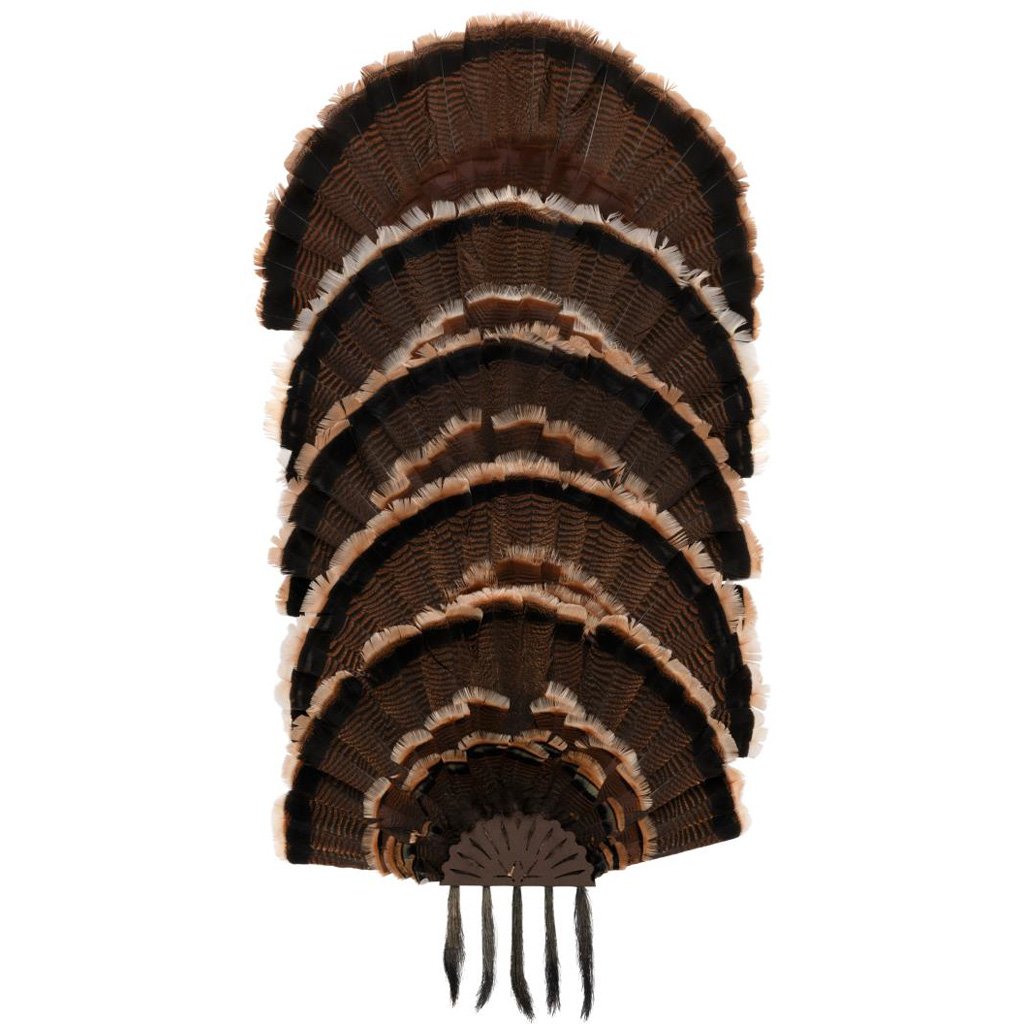 Allen EZ Mount Stacked Turkey Fan Mount 5 stack - Image 2