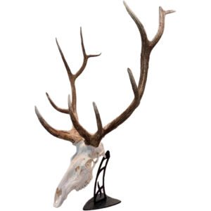 Skull Hooker Big Table Hooker Black