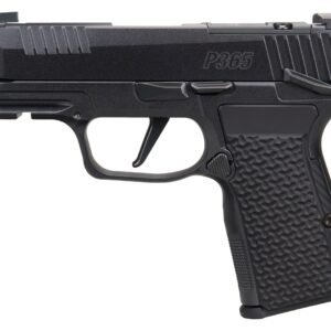 SIG SAUER P365 AXG LUXE 380ACP MS CA