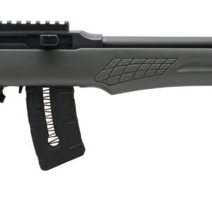 ROSSI RS22 22MAG BLK/GRAY 21" 10+1 #