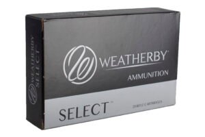 WBY 240WBY 100GR INT 20RD