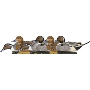 Avian X Top Flight Duck Decoys Pintail 6 pk.